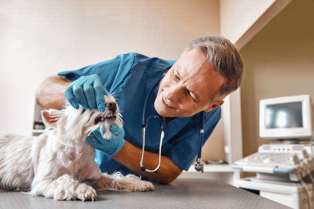 Best Emergency Tooth Extraction in Walters, OK